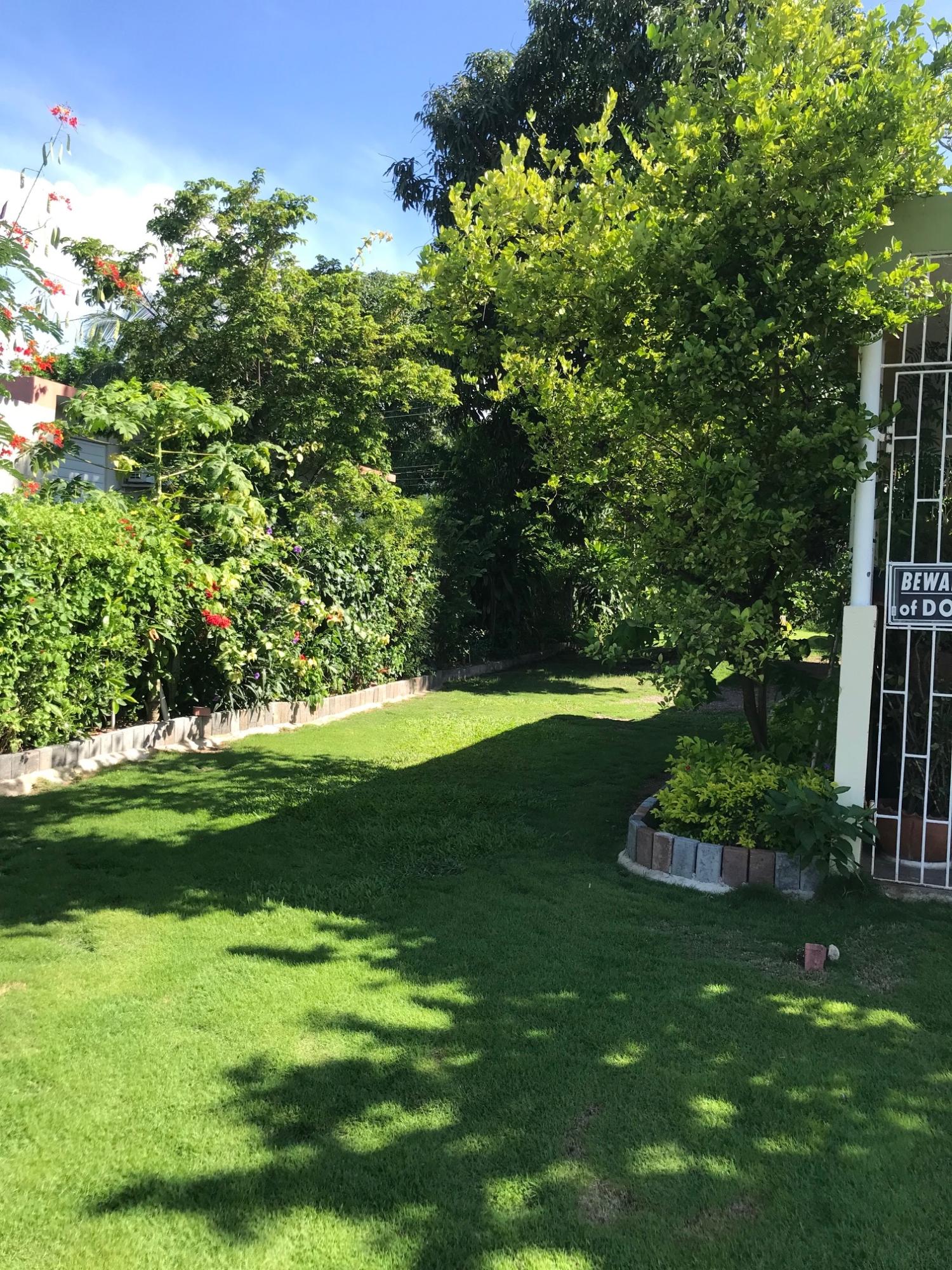 Charming-1-Bed-1-Bath-Apartment-for-Rent-in-Mona-St.-Andrew Fourteenth image of -- Garden Boulevard in Mona Heights, St. Andrew, Jamaica - property is For Rent