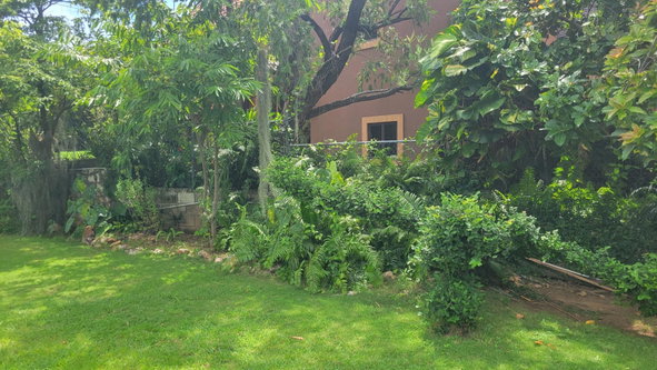 Twentieth image of Unit 1-84 East Armour Heights in Kingston 8, St. Andrew, Jamaica - property is For Rent