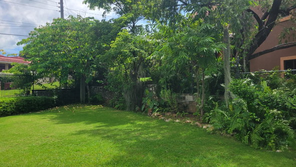Twenty-First image of Unit 1-84 East Armour Heights in Kingston 8, St. Andrew, Jamaica - property is For Rent
