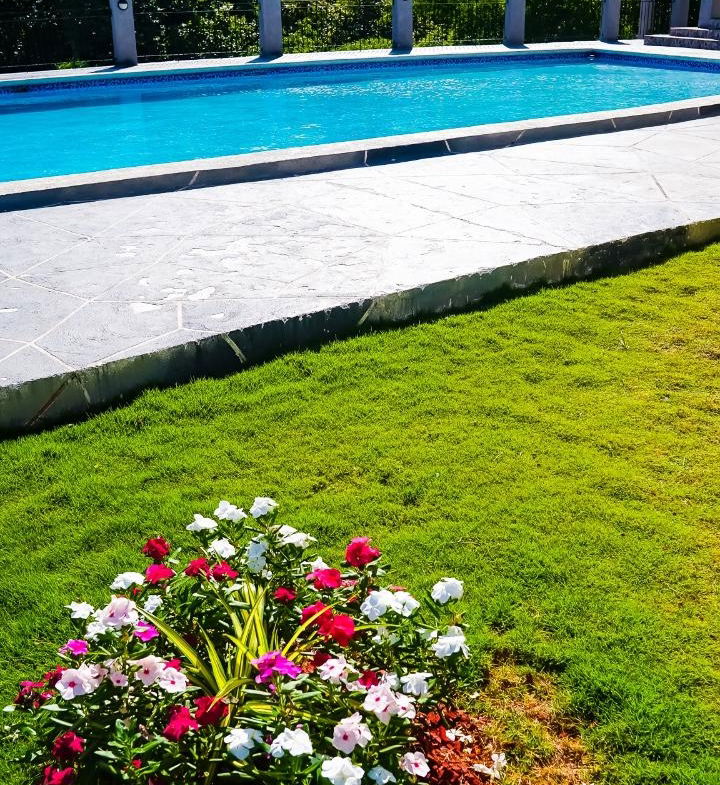 Twenty-Sixth image of 15-11a Belvedere Road in Kingston 19, St. Andrew, Jamaica - property is For Rent