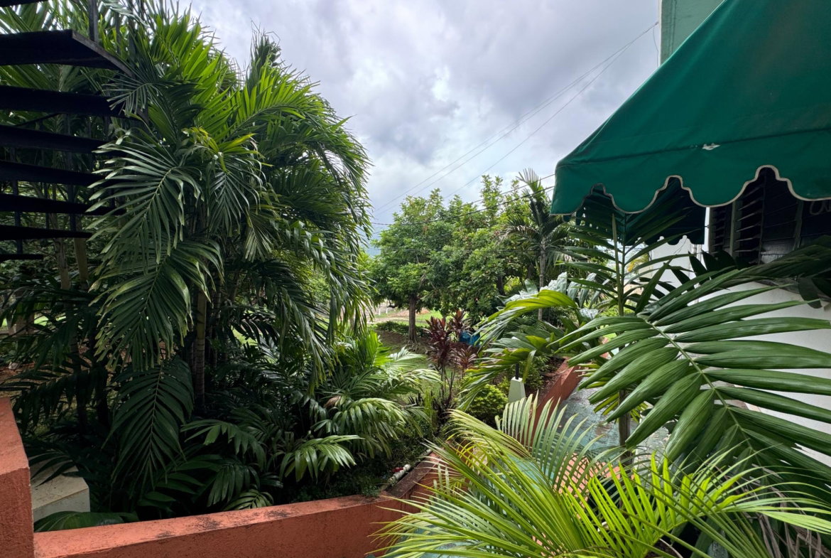 First image of 9a Mayfair Avenue in Red Hills, St. Andrew, Jamaica - property is For Rent