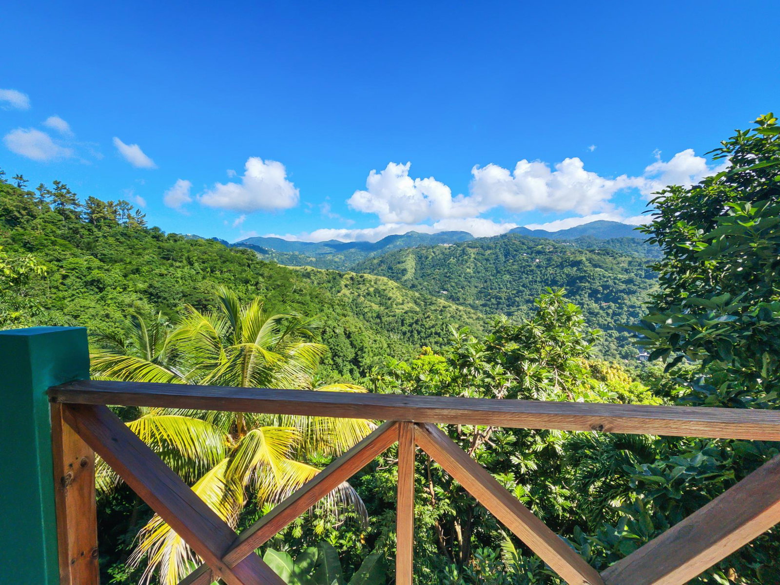 Charming-2-Bedroom-Cottage-for-Rent-in-St.-Andrew-Jamaica Nineteenth image of 6 Skyline Drive in Kingston 6, St. Andrew, Jamaica - property is For Rent