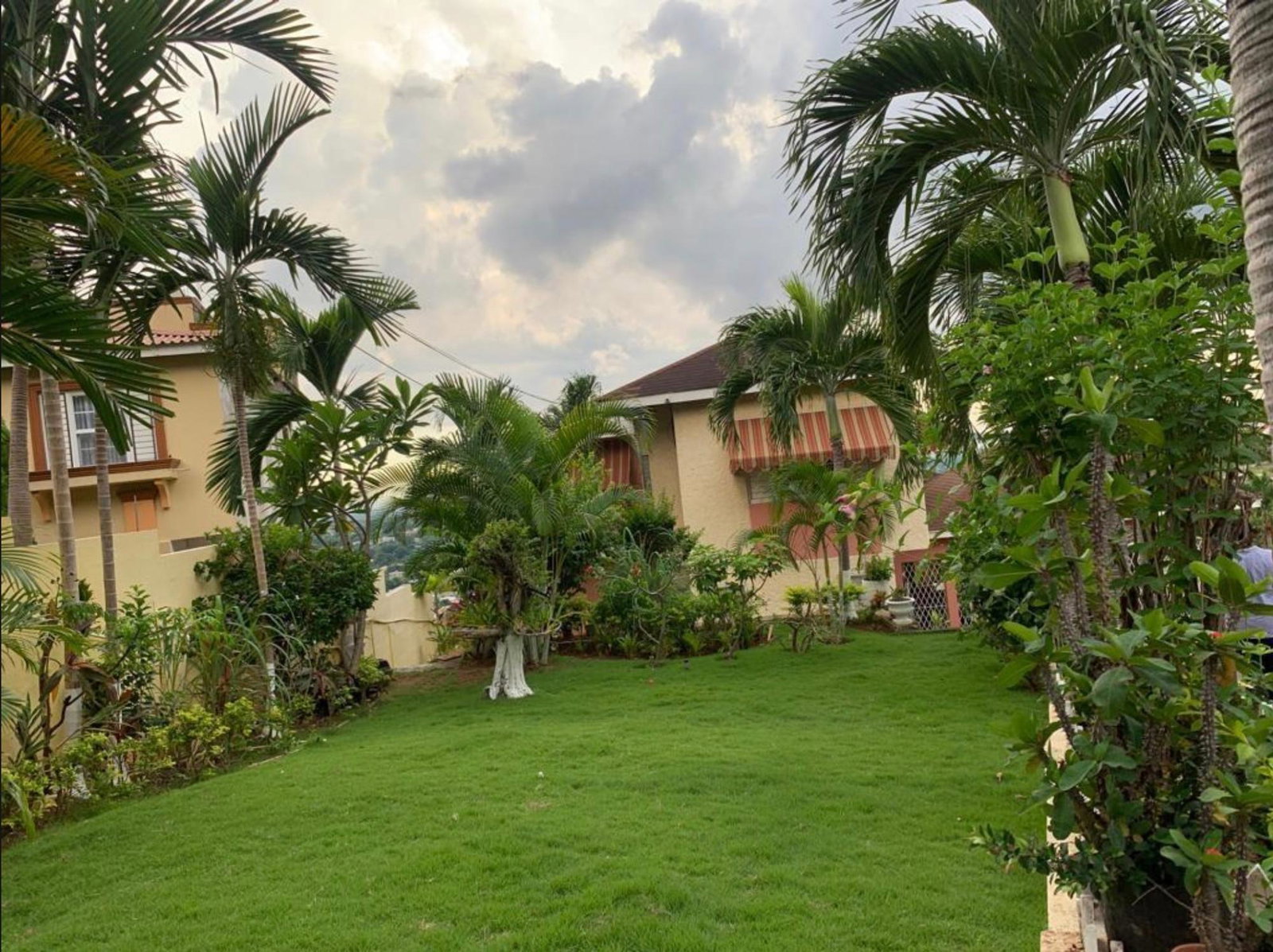 Charming-2-Bedroom-Flat-for-Rent-in-Havendale-St.-Andrew Second image of 22 Belgrade Loop in Kingston 8, St. Andrew, Jamaica - property is For Rent