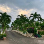 First image of 22 Belgrade Loop in Kingston 8, St. Andrew, Jamaica - property is For Rent