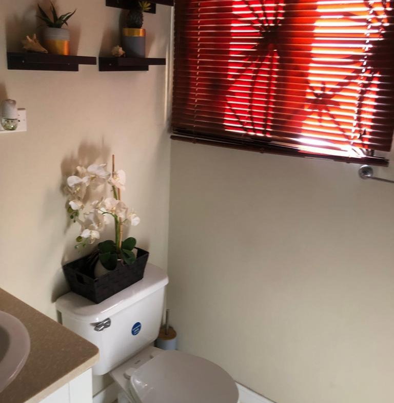 Twenty-Fifth image of Lot 376 Coconut Place in Montego Bay, St. James, Jamaica - property is For Rent