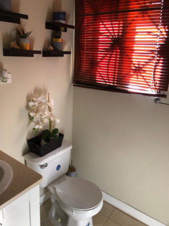 Twenty-Fifth image of Lot 376 Coconut Place in Montego Bay, St. James, Jamaica - property is For Rent