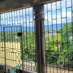 First image of Rodney Hall Road, Linstea in Linstead, St. Catherine, Jamaica - property is For Sale