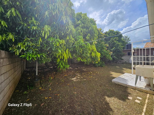 Sixteenth image of Vineyard Est. Old Harbour in Old Harbour, St. Catherine, Jamaica - property is For Sale