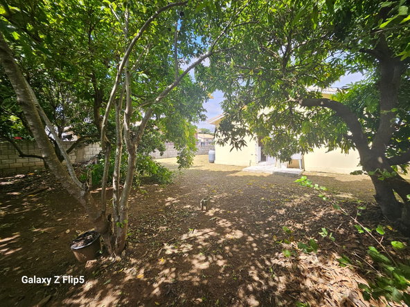 Eighteenth image of Vineyard Est. Old Harbour in Old Harbour, St. Catherine, Jamaica - property is For Sale