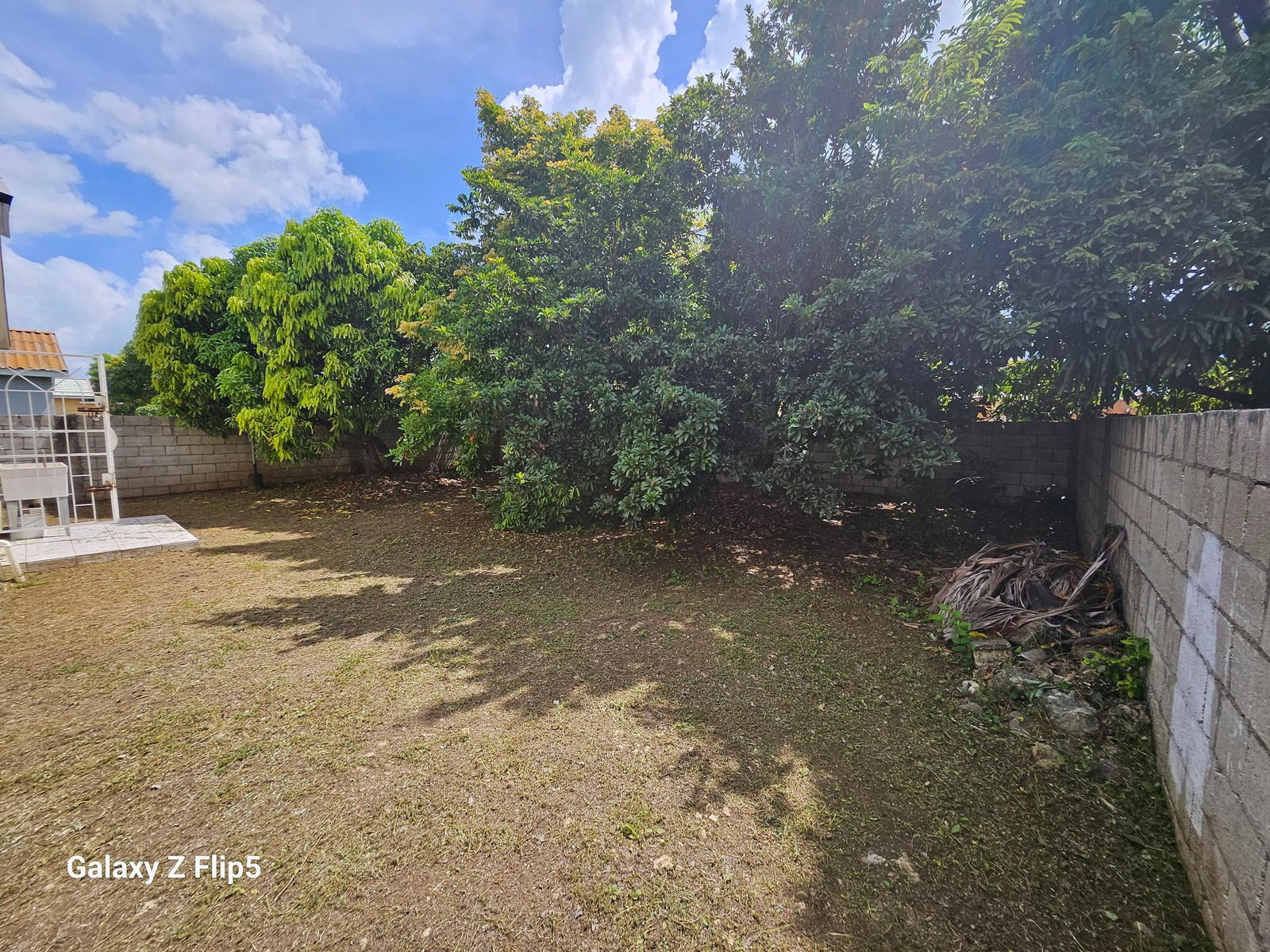 Twentieth image of Vineyard Est. Old Harbour in Old Harbour, St. Catherine, Jamaica - property is For Sale