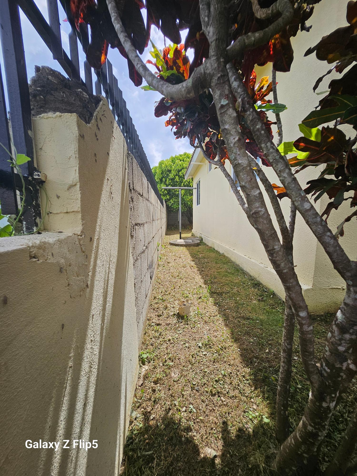 Twenty-Fifth image of Vineyard Est. Old Harbour in Old Harbour, St. Catherine, Jamaica - property is For Sale