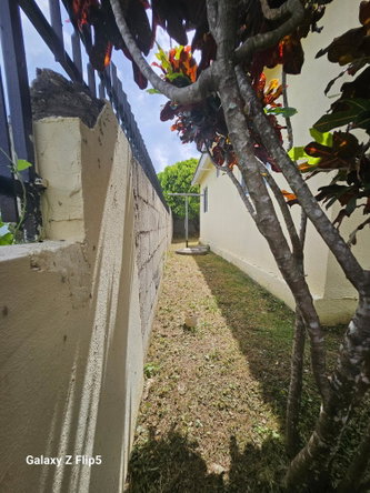 Twenty-Fifth image of Vineyard Est. Old Harbour in Old Harbour, St. Catherine, Jamaica - property is For Sale
