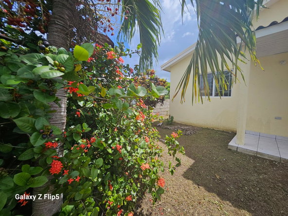 Twenty-Sixth image of Vineyard Est. Old Harbour in Old Harbour, St. Catherine, Jamaica - property is For Sale