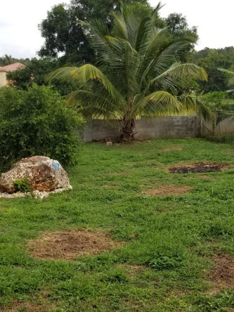 Eighth image of Parts of Lucky Valley, ju in Junction, St. Elizabeth, Jamaica - property is For Rent
