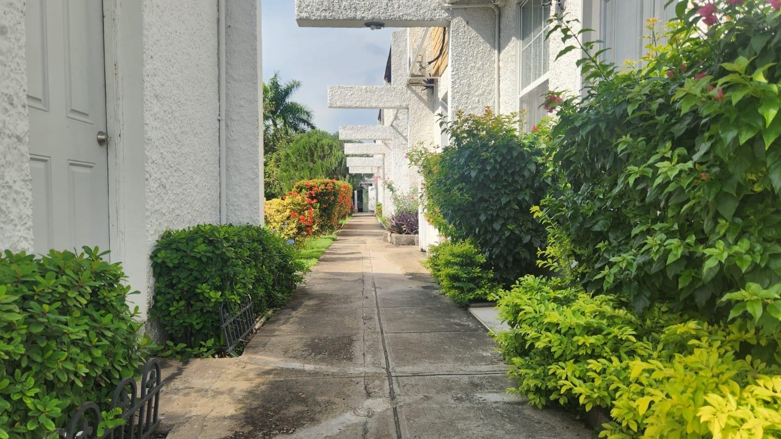 First image of 12-3 Kingsway Mews in Kingston 10, St. Andrew, Jamaica - property is For Rent