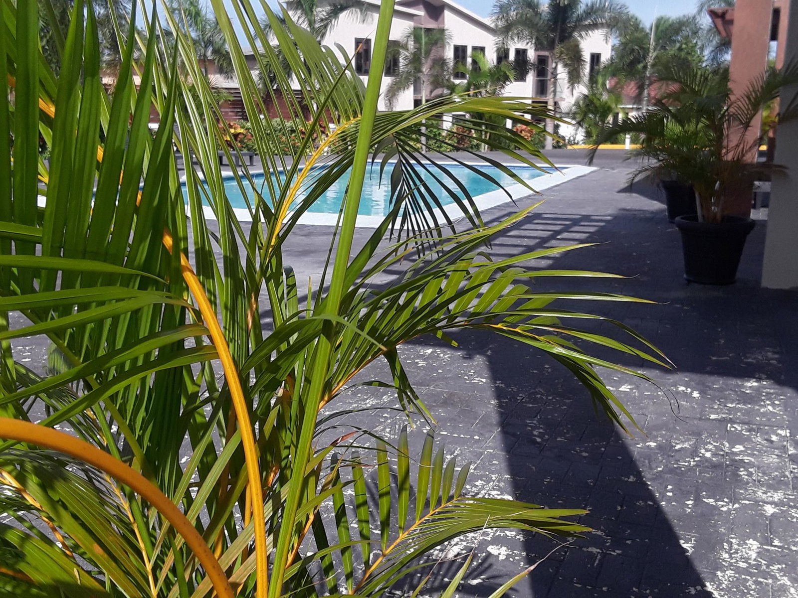 Fourteenth image of 7 Happy Cove Estate in Ocho Rios, St. Ann, Jamaica - property is For Rent