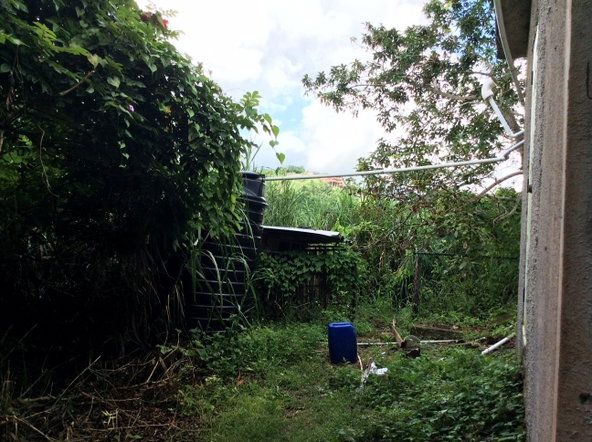 Fourteenth image of Lot #7 Waugh Hill, Rock Hall in Sligoville, St. Catherine, Jamaica - property is For Sale