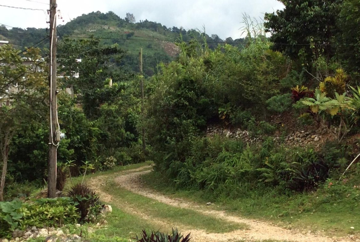 Eighteenth image of Lot #7 Waugh Hill, Rock Hall in Sligoville, St. Catherine, Jamaica - property is For Sale