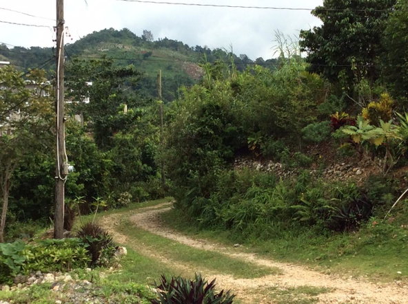 Eighteenth image of Lot #7 Waugh Hill, Rock Hall in Sligoville, St. Catherine, Jamaica - property is For Sale