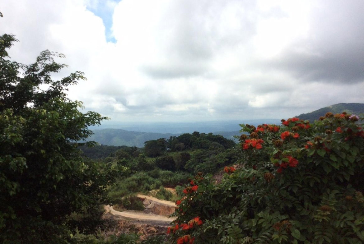 Nineteenth image of Lot #7 Waugh Hill, Rock Hall in Sligoville, St. Catherine, Jamaica - property is For Sale