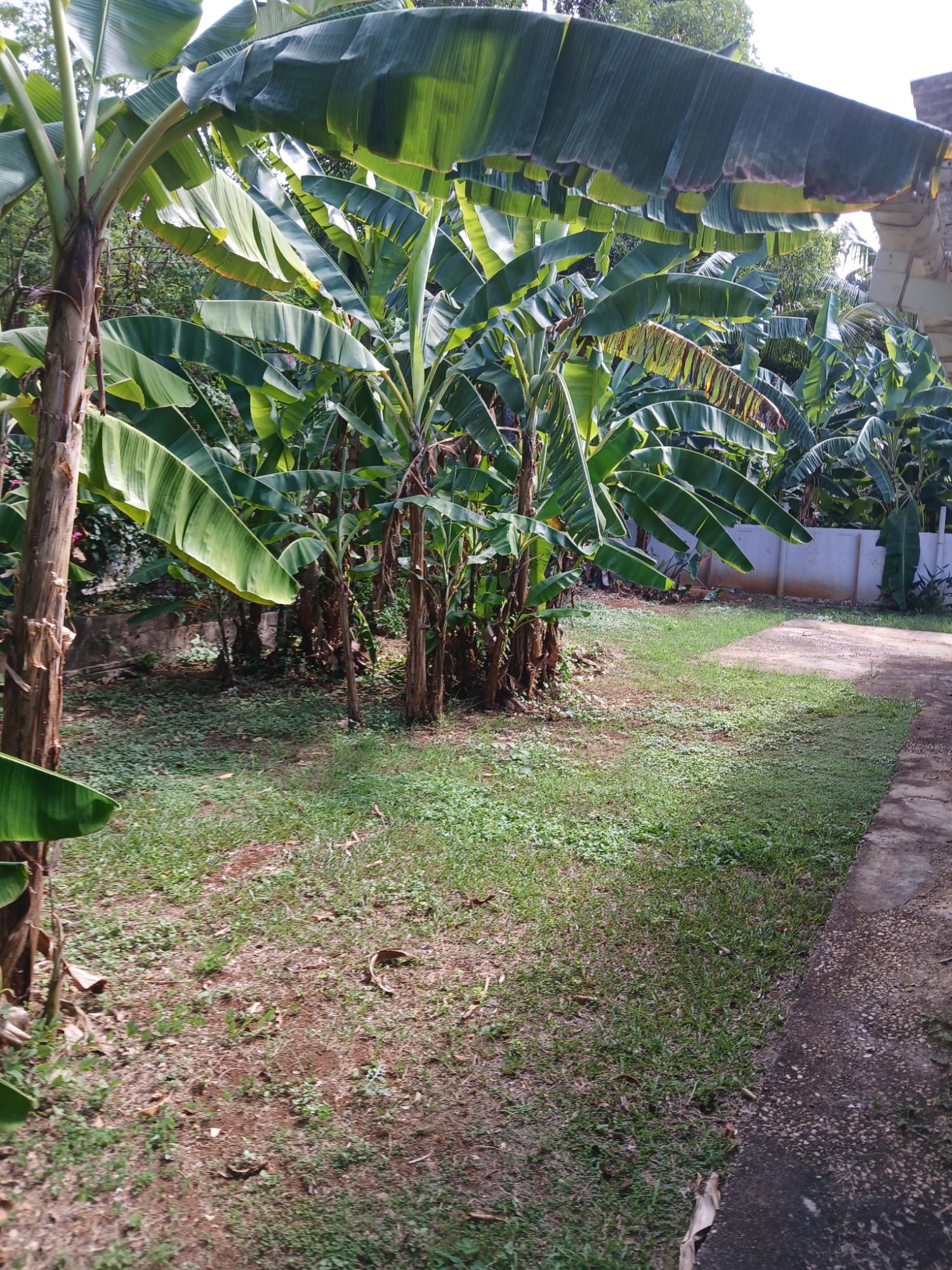 Eleventh image of Lot 30 Upper Mammee Bay Circle in Mammee Bay, St. Ann, Jamaica - property is For Sale