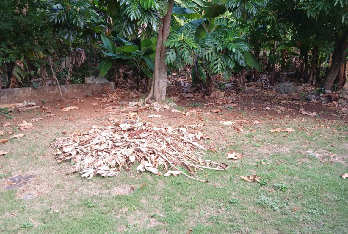 Twelfth image of Lot 30 Upper Mammee Bay Circle in Mammee Bay, St. Ann, Jamaica - property is For Sale