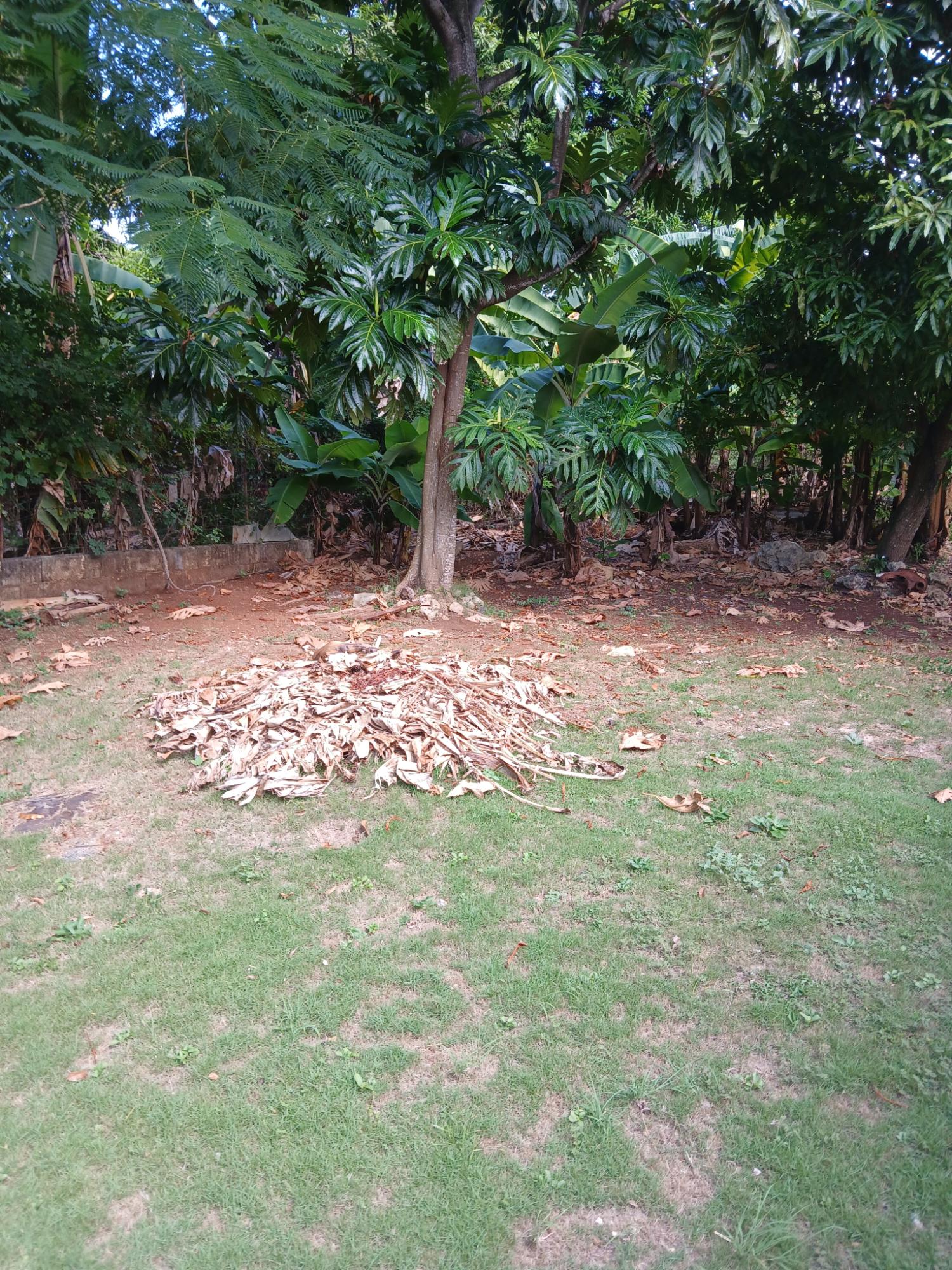 Twelfth image of Lot 30 Upper Mammee Bay Circle in Mammee Bay, St. Ann, Jamaica - property is For Sale