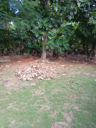 Twelfth image of Lot 30 Upper Mammee Bay Circle in Mammee Bay, St. Ann, Jamaica - property is For Sale