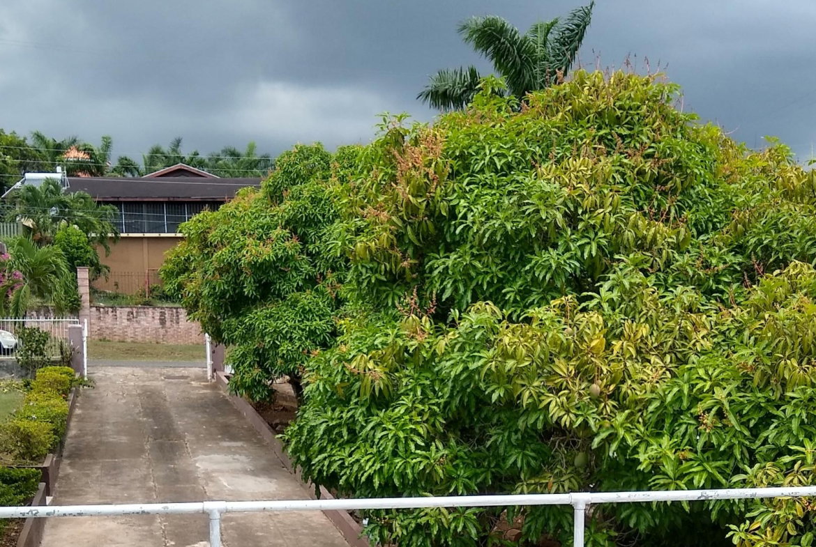 Twenty-Fifth image of 9 Grosvenor Heights in Kingston 8, St. Andrew, Jamaica - property is For Rent