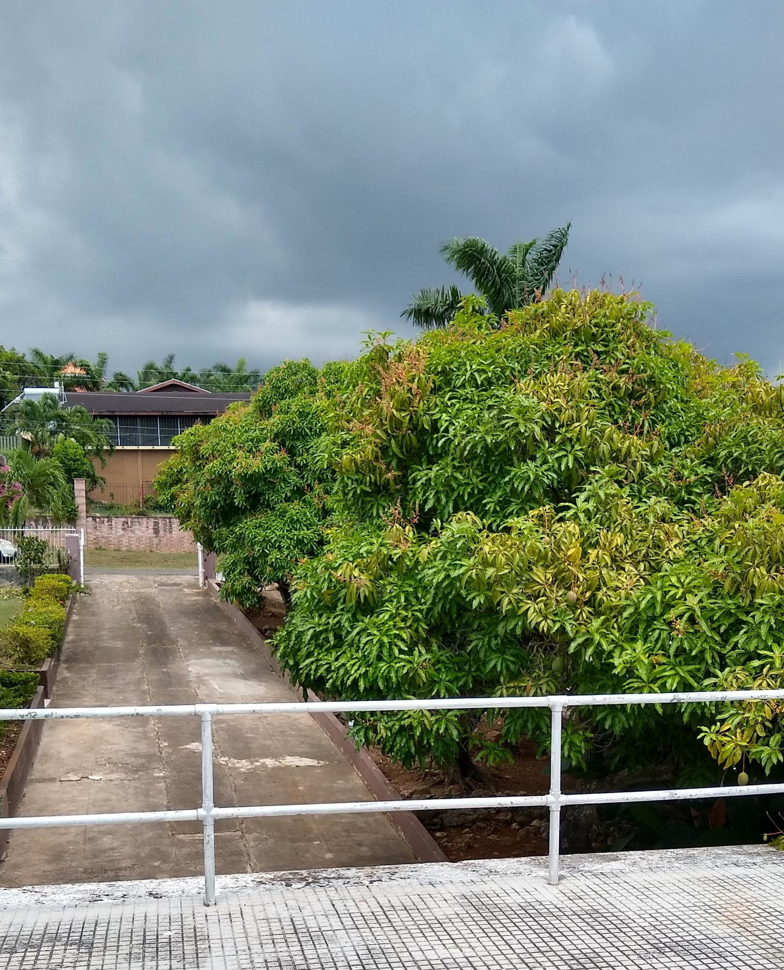 Charming-3-Bedroom-House-for-Rent-in-St.-Andrew-Jamaica Twenty-Fifth image of 9 Grosvenor Heights in Kingston 8, St. Andrew, Jamaica - property is For Rent
