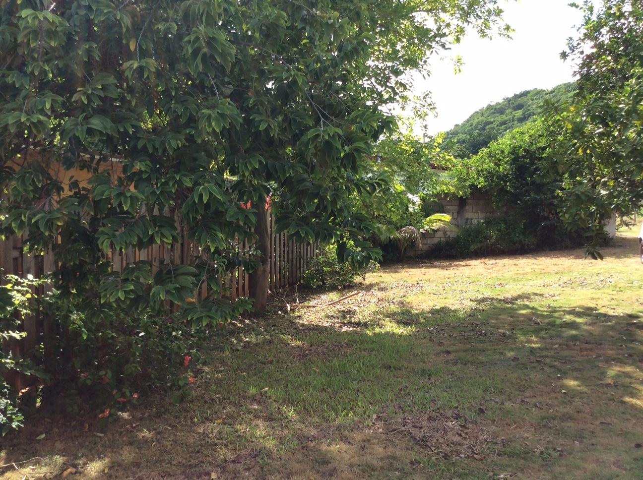 Charming-3-Bedroom-Townhouse-for-Rent-in-Red-Hills-Jamaica Fourteenth image of 7 Pembrook Terrace Red Hills in KINGSTON, Kingston, Jamaica - property is For Rent