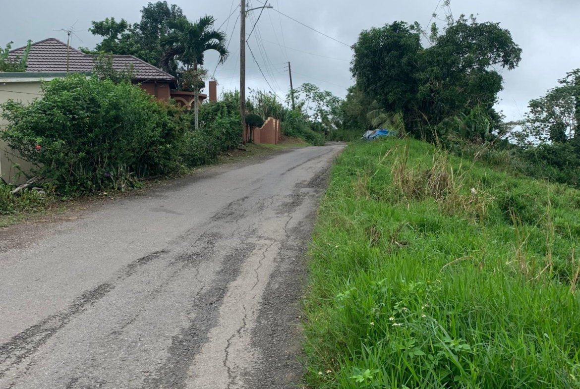Eleventh image of Dillon-town Blackstonedge, Guys Hill in Blackstonedge, St. Ann, Jamaica - property is For Sale