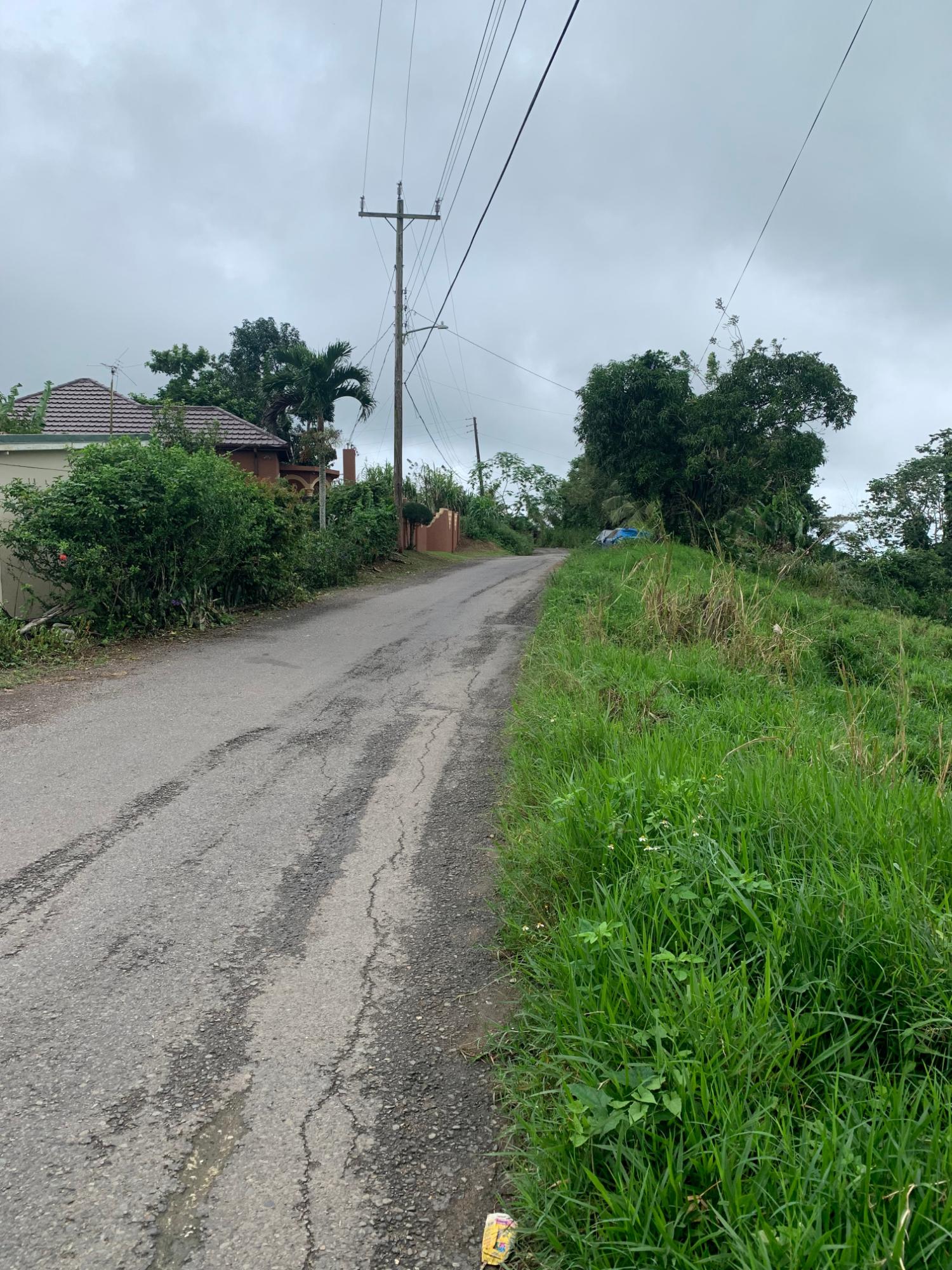 Eleventh image of Dillon-town Blackstonedge, Guys Hill in Blackstonedge, St. Ann, Jamaica - property is For Sale