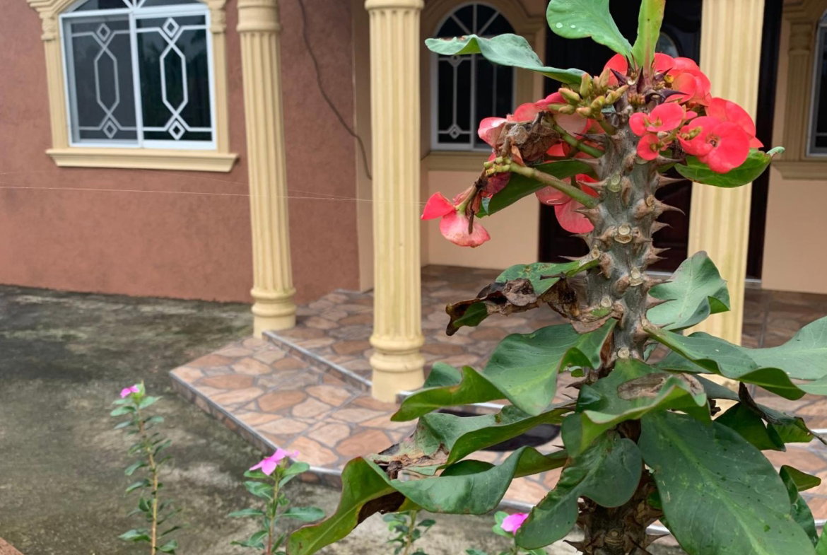 Fourth image of Dillon-town Blackstonedge, Guys Hill in Blackstonedge, St. Ann, Jamaica - property is For Sale