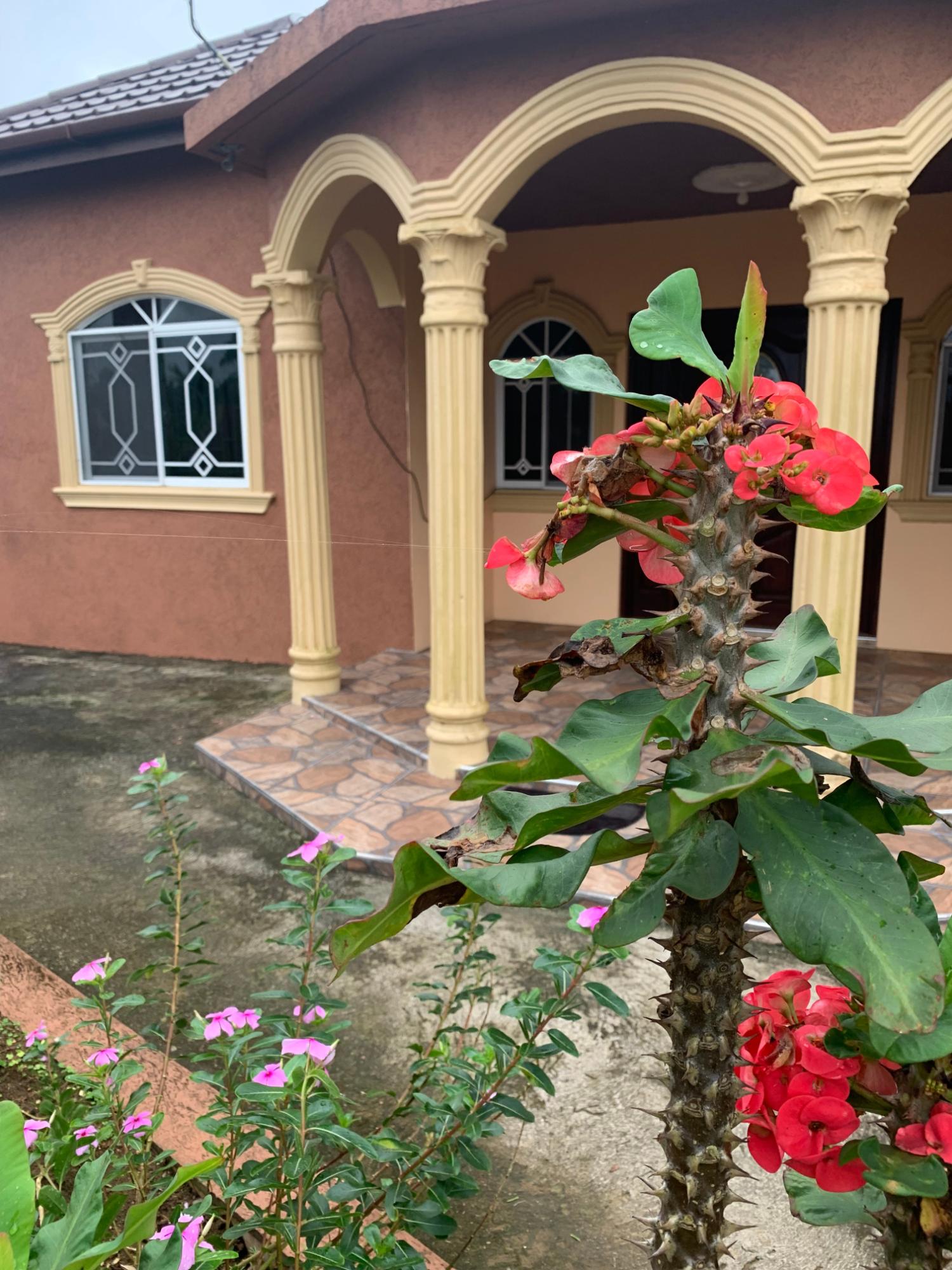 Fourth image of Dillon-town Blackstonedge, Guys Hill in Blackstonedge, St. Ann, Jamaica - property is For Sale