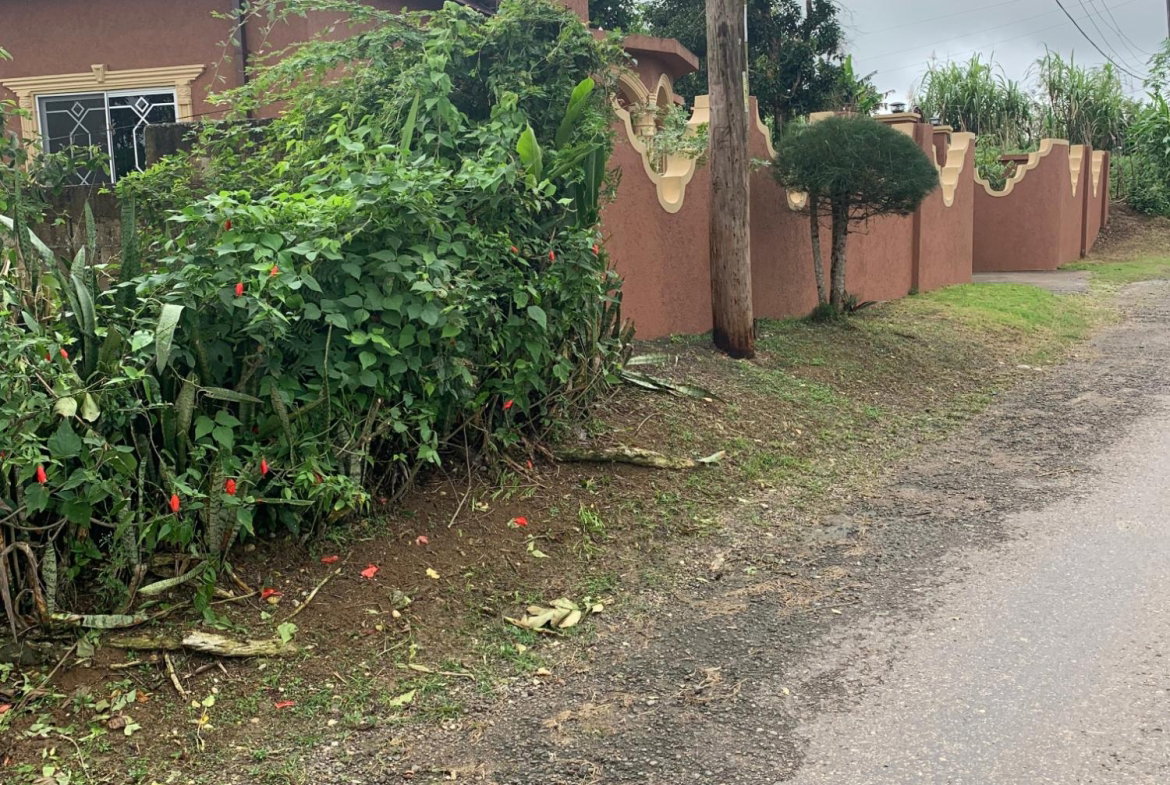 Fifth image of Dillon-town Blackstonedge, Guys Hill in Blackstonedge, St. Ann, Jamaica - property is For Sale