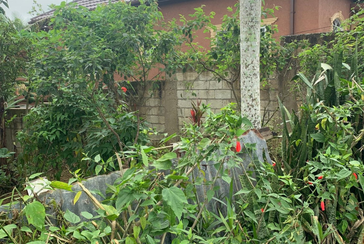 Ninth image of Dillon-town Blackstonedge, Guys Hill in Blackstonedge, St. Ann, Jamaica - property is For Sale