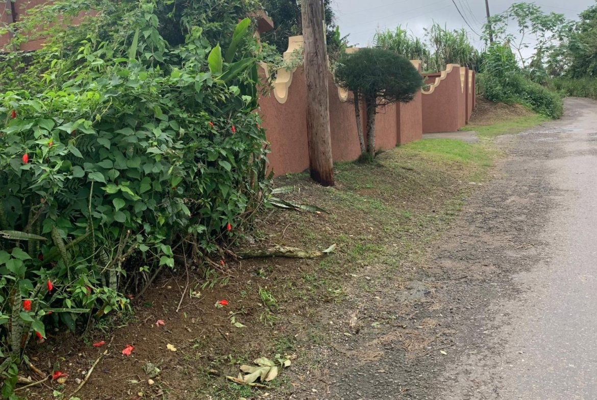 Tenth image of Dillon-town Blackstonedge, Guys Hill in Blackstonedge, St. Ann, Jamaica - property is For Sale