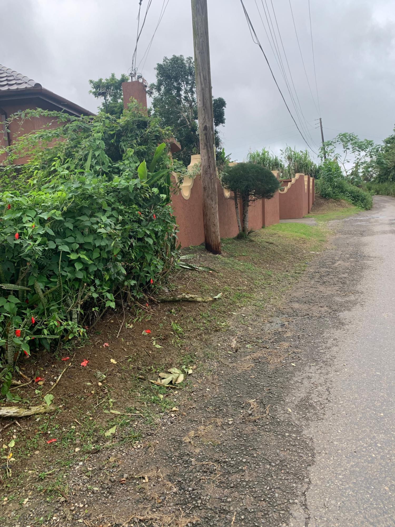 Tenth image of Dillon-town Blackstonedge, Guys Hill in Blackstonedge, St. Ann, Jamaica - property is For Sale