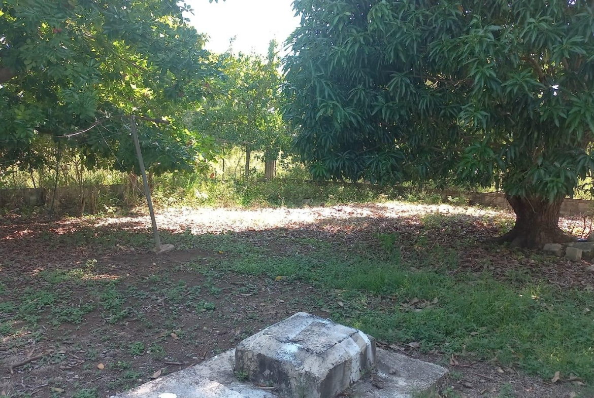 Nineteenth image of Lot 6 St. Toolies, Toll Gate in Toll Gate, Clarendon, Jamaica - property is For Sale