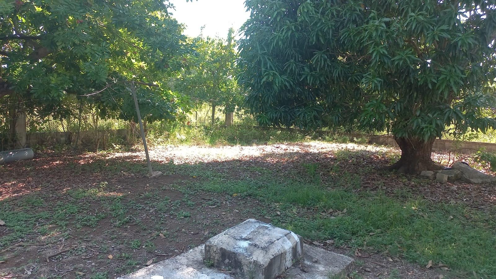 Nineteenth image of Lot 6 St. Toolies, Toll Gate in Toll Gate, Clarendon, Jamaica - property is For Sale