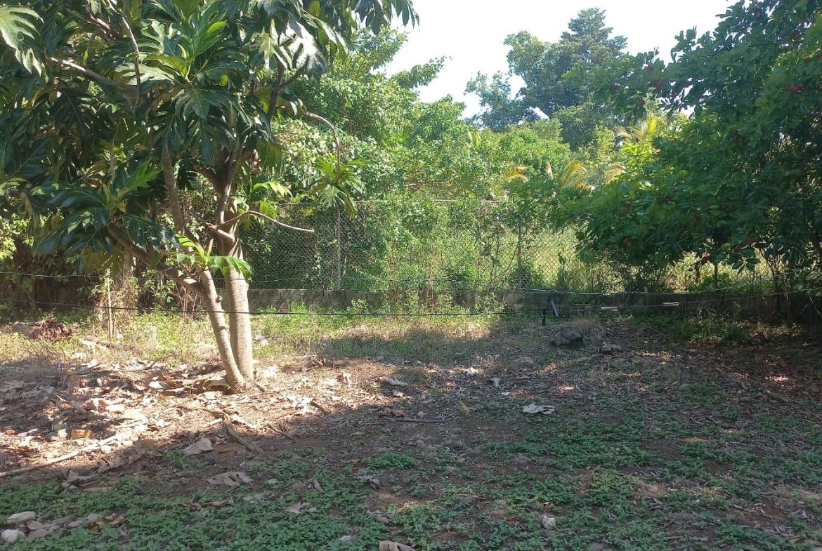 Twentieth image of Lot 6 St. Toolies, Toll Gate in Toll Gate, Clarendon, Jamaica - property is For Sale