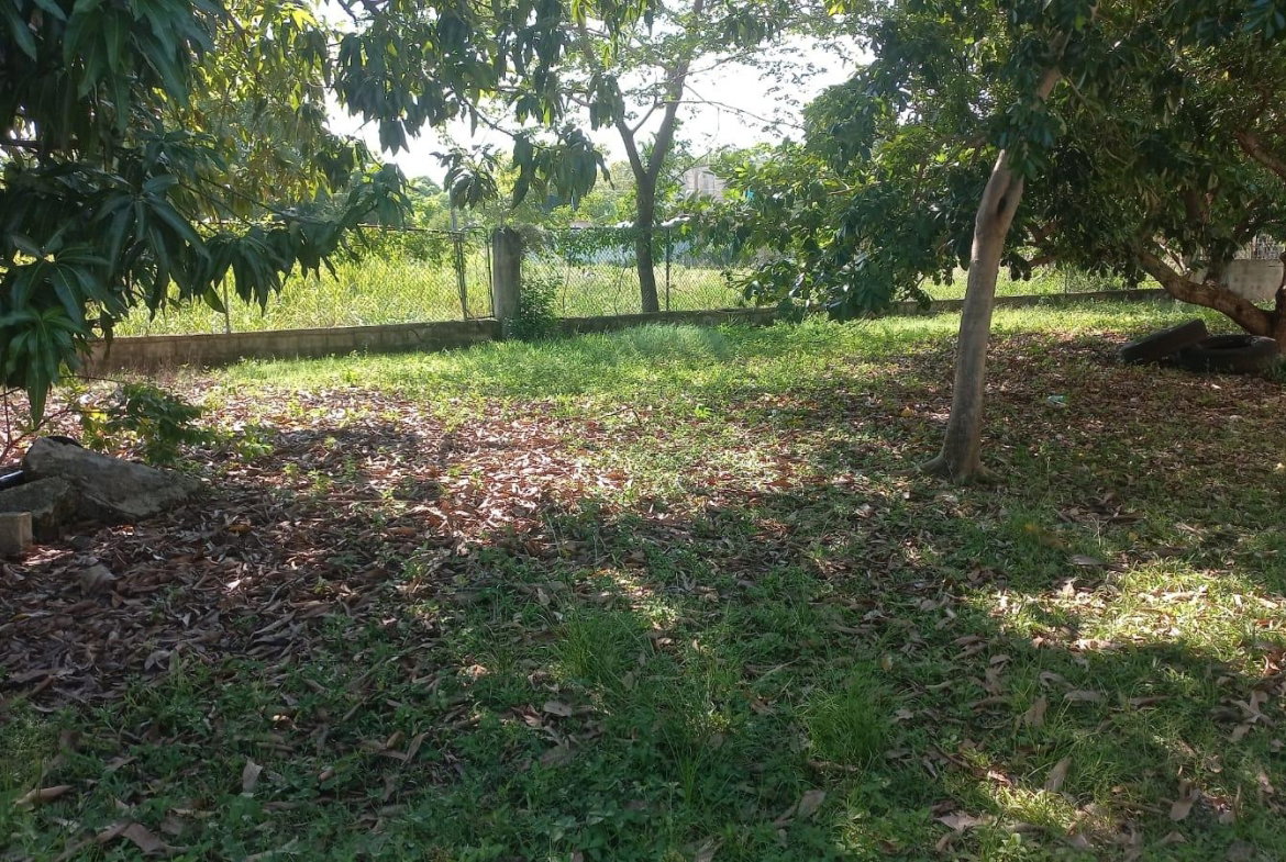 Twenty-First image of Lot 6 St. Toolies, Toll Gate in Toll Gate, Clarendon, Jamaica - property is For Sale
