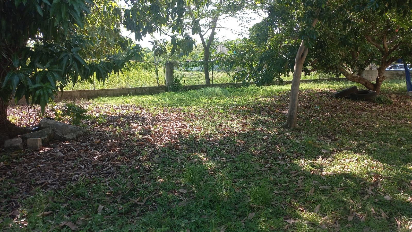 Twenty-First image of Lot 6 St. Toolies, Toll Gate in Toll Gate, Clarendon, Jamaica - property is For Sale