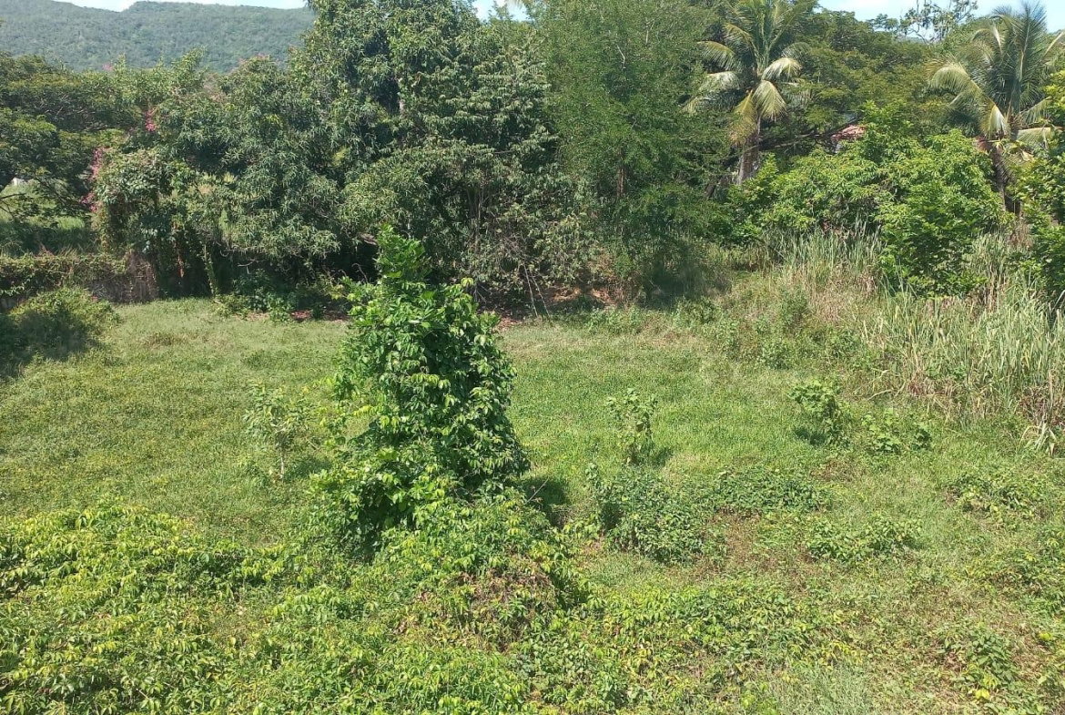 Twenty-Second image of Lot 6 St. Toolies, Toll Gate in Toll Gate, Clarendon, Jamaica - property is For Sale