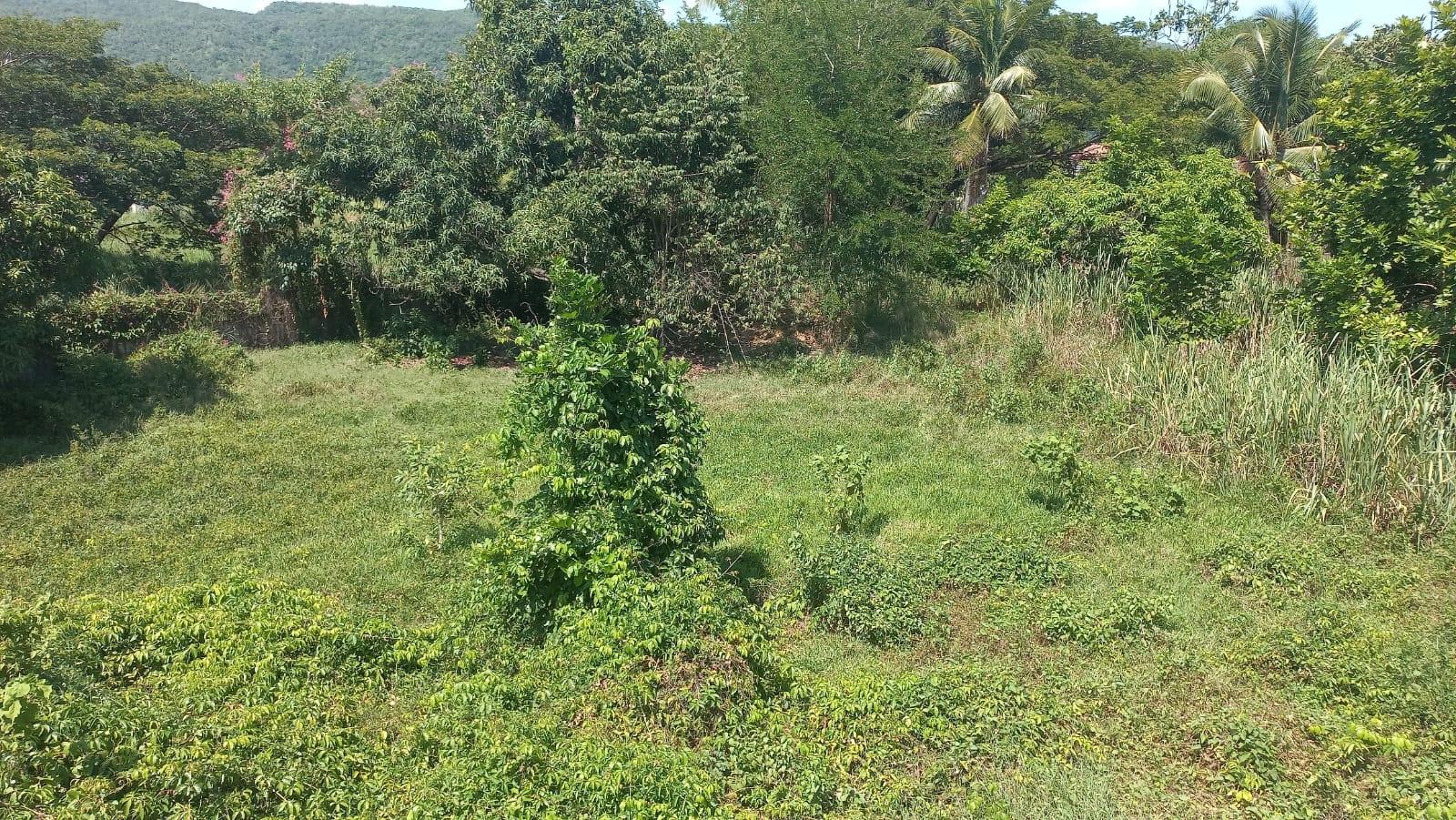 Twenty-Second image of Lot 6 St. Toolies, Toll Gate in Toll Gate, Clarendon, Jamaica - property is For Sale