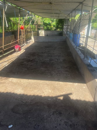 Eleventh image of 70a Haughton Grove in Haughton Grove, Hanover, Jamaica - property is For Sale