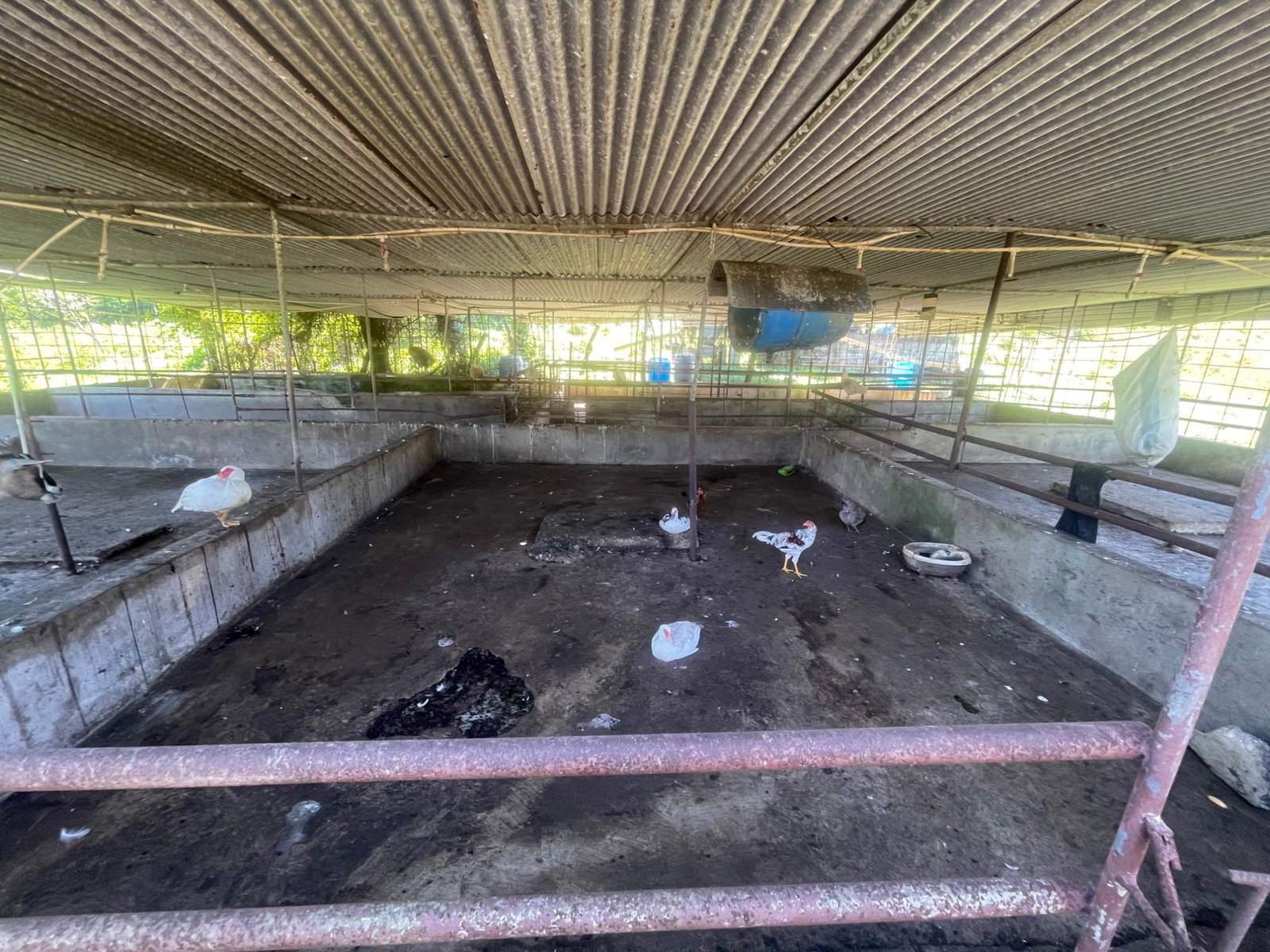Twelfth image of 70a Haughton Grove in Haughton Grove, Hanover, Jamaica - property is For Sale