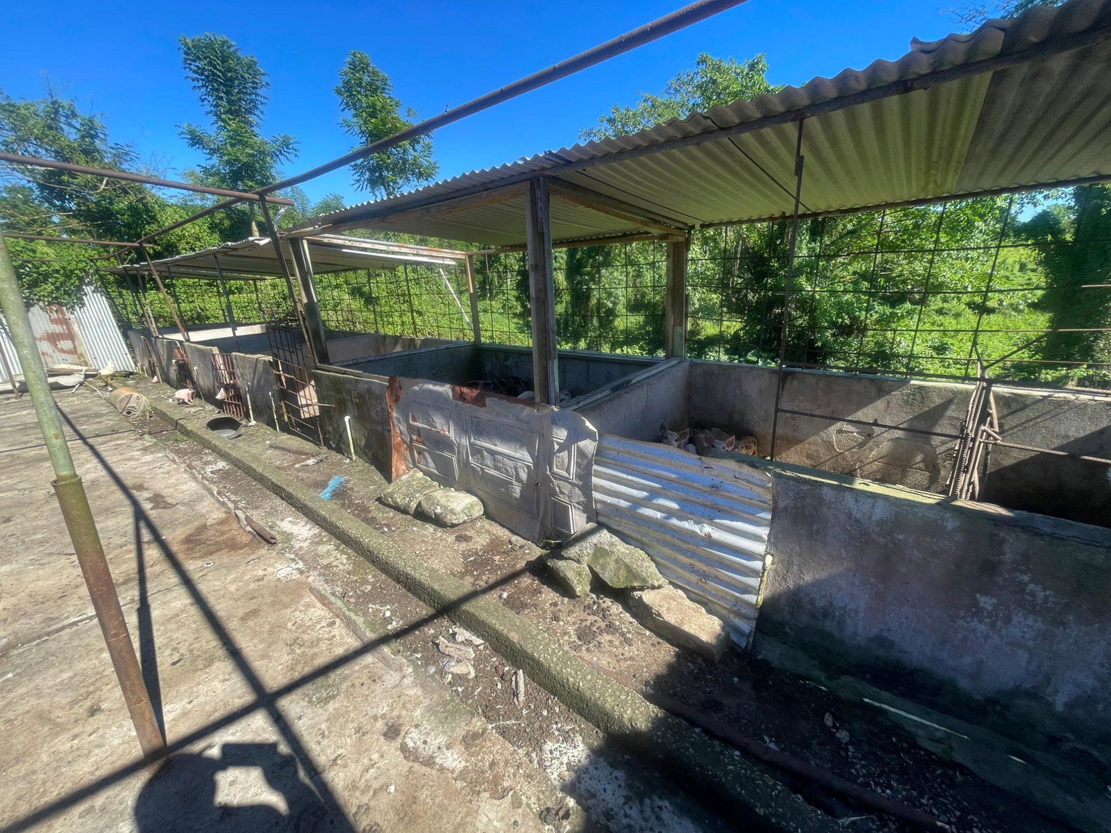 Thirteenth image of 70a Haughton Grove in Haughton Grove, Hanover, Jamaica - property is For Sale