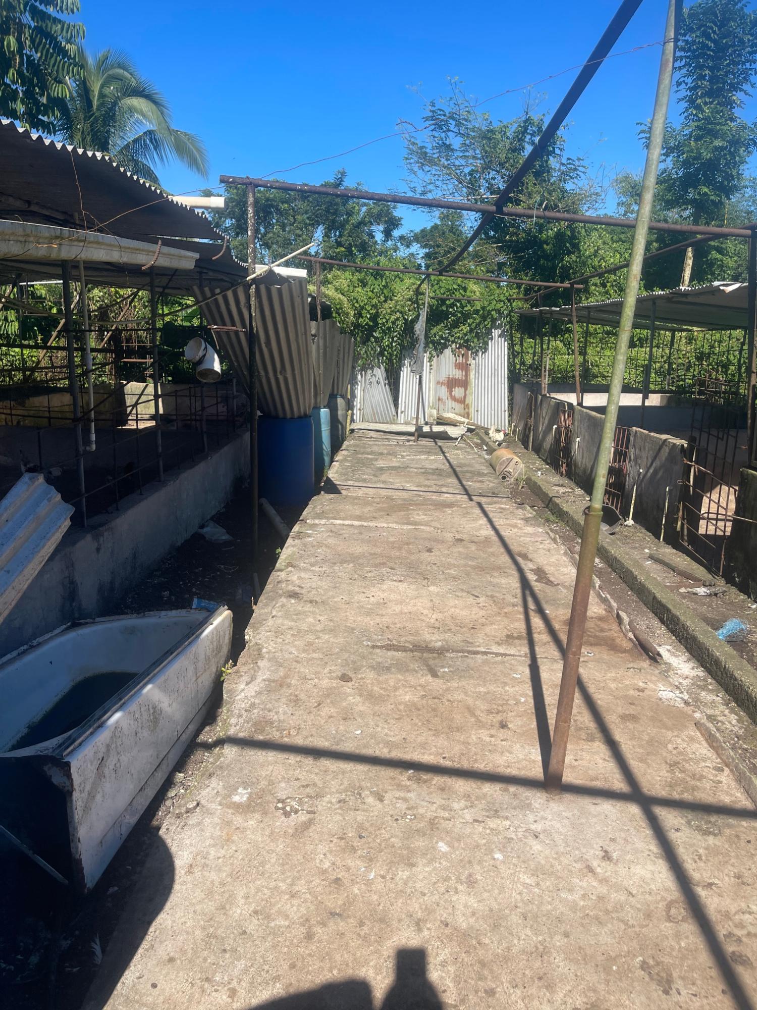 Fourteenth image of 70a Haughton Grove in Haughton Grove, Hanover, Jamaica - property is For Sale
